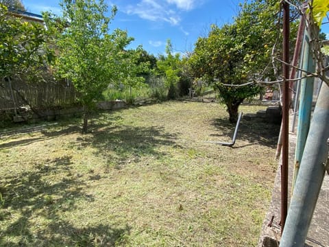 Day, Natural landscape, Garden, Garden view