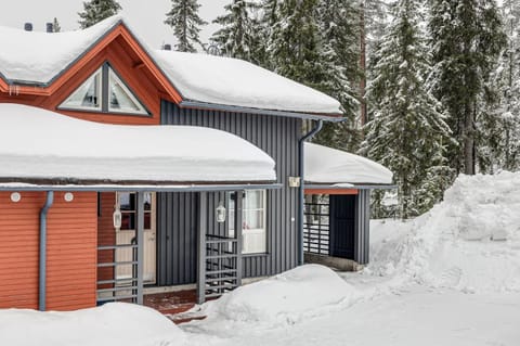 Romerinteen kartano 17A Apartment in Lapland