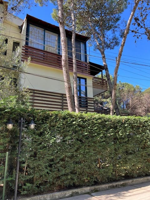 Property building, Spring, Day, Garden view
