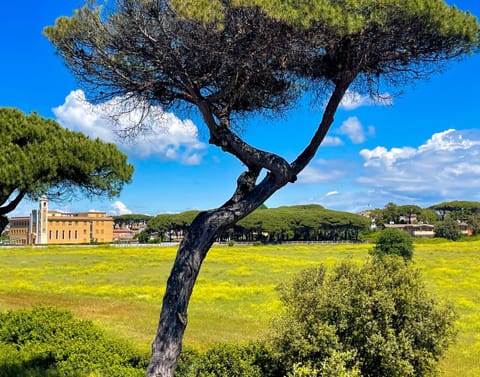 Nearby landmark, Spring, Day, Natural landscape
