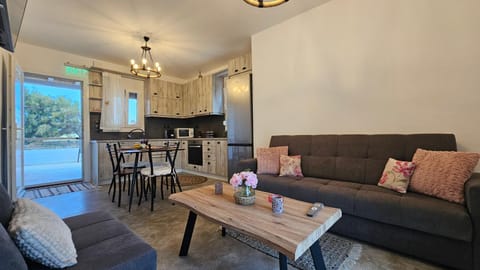 Kitchen or kitchenette, Living room, Seating area, Dining area