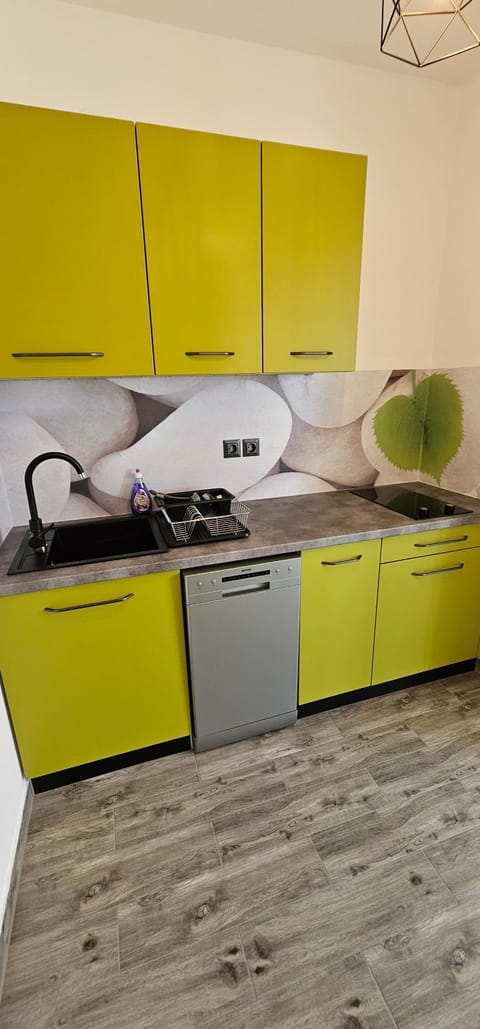 Apartment Žuna Apartment in Lika-Senj County