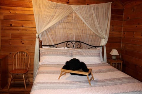 Romantic Cabin Rental in the Forest near Beckley, West Virginia Cabin in Hico