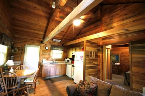 Romantic Cabin Rental in the Forest near Beckley, West Virginia Cabin in Hico
