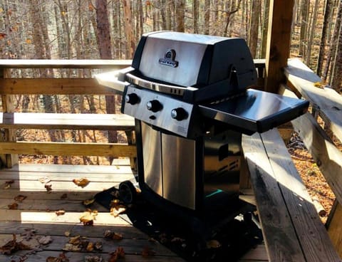 Rustic Cabin Rental in the Wilderness near Beckley, West Virginia Cabin in Hico
