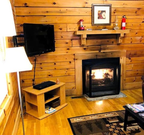 Rustic Cabin Rental in the Wilderness near Beckley, West Virginia Cabin in Hico