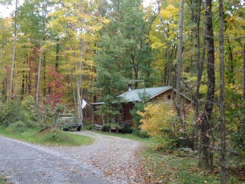 Peaceful Cabin Rental with a Hot Tub near Beckley, West Virginia Cabin in Hico