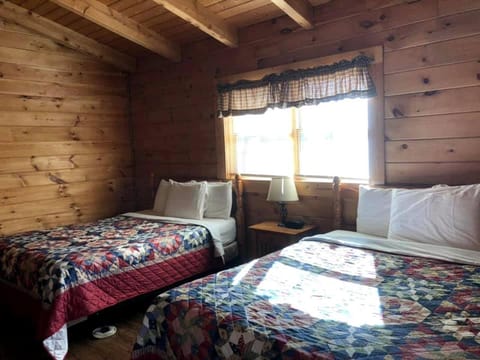 Spacious Cabin Rental with Forest Views near Charleston, West Virginia Cabin in Hico