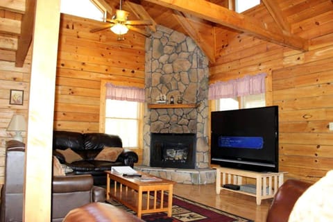 TV and multimedia, Living room, fireplace