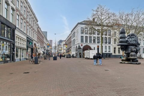Central and light apartment Apartment in Rotterdam