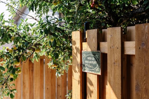 Patio, Day, Summer, Balcony/Terrace