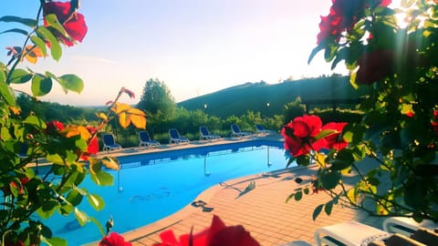 Property building, Living room, Swimming pool