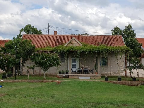 Property building, Natural landscape, Garden