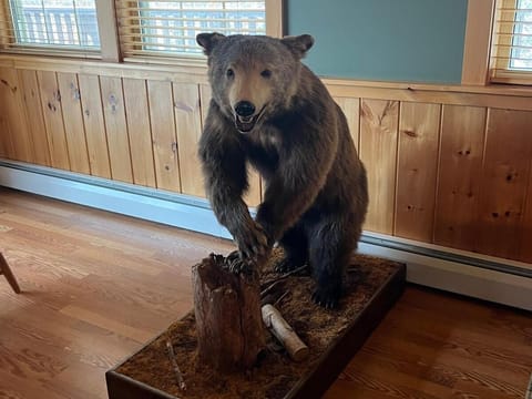 Longden Lodge - Adirondacks House in Old Forge