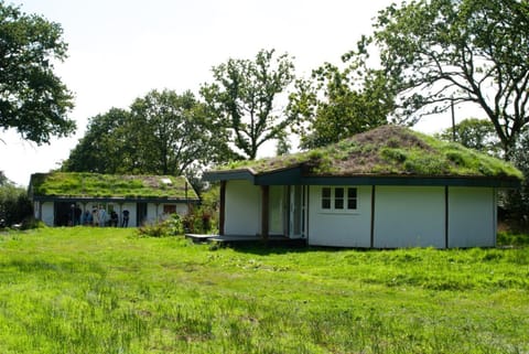 Property building, Garden, Garden