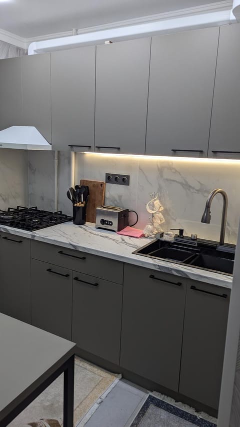 Kitchen or kitchenette, stove