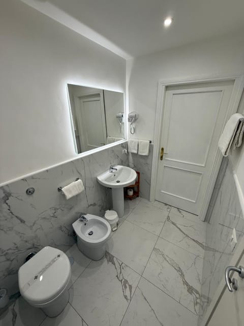 Toilet, Bathroom, bidet, hair dryier