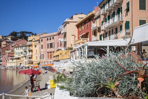 Neighbourhood, Natural landscape