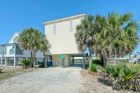 Palmetto House House in West Beach