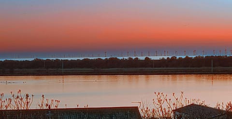 Day, Natural landscape, Lake view, Sea view, Sunrise