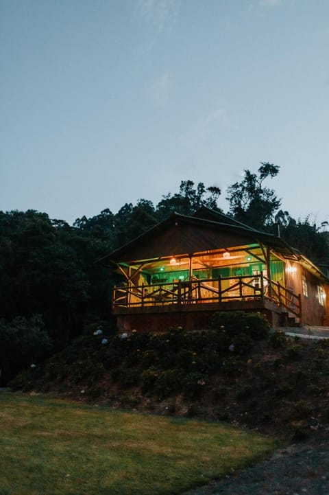 Property building, Night, Natural landscape