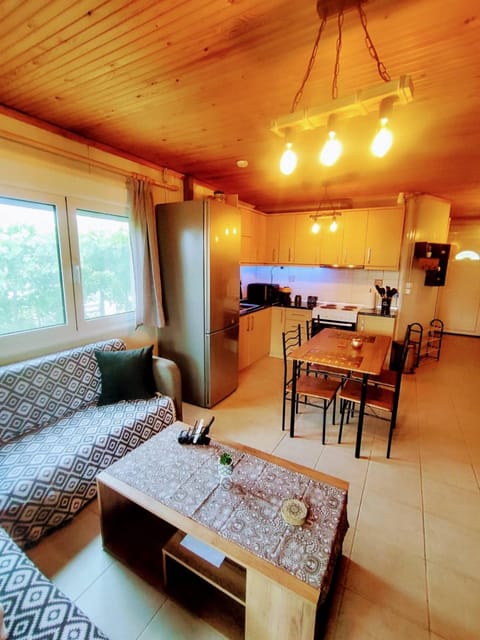 Kitchen or kitchenette, Living room, Seating area, Dining area, stove