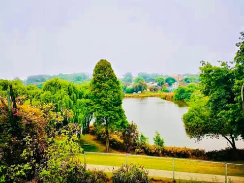 Day, Natural landscape, Lake view, River view