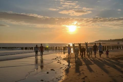 Budget Beach Room for Short Stays in Zoutelande Bed and Breakfast in Zoutelande