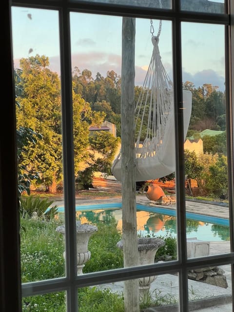 Garden, Garden, Pool view, Swimming pool, sunbed