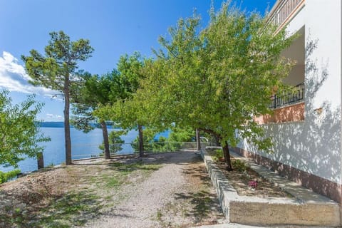 Natural landscape, Garden