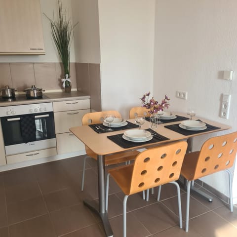 Haus hinter dem Deich Apartment in Husum