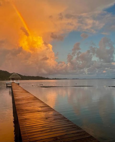 Natural landscape, Sea view, Sunrise