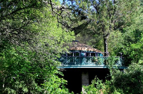 Tree House Yurt in Austin, Texas, Perfect for a Glamping Getaway Luxury tent in Rio Grande