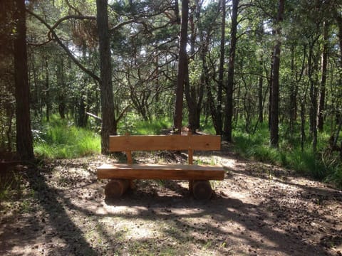 Spring, Day, Natural landscape