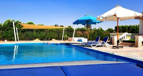 Day, Pool view, Swimming pool