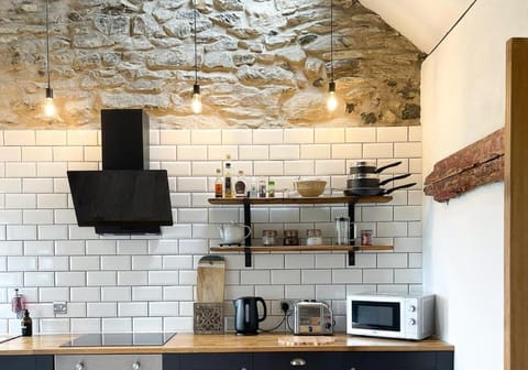 Helyg Cottage House in Penbryn