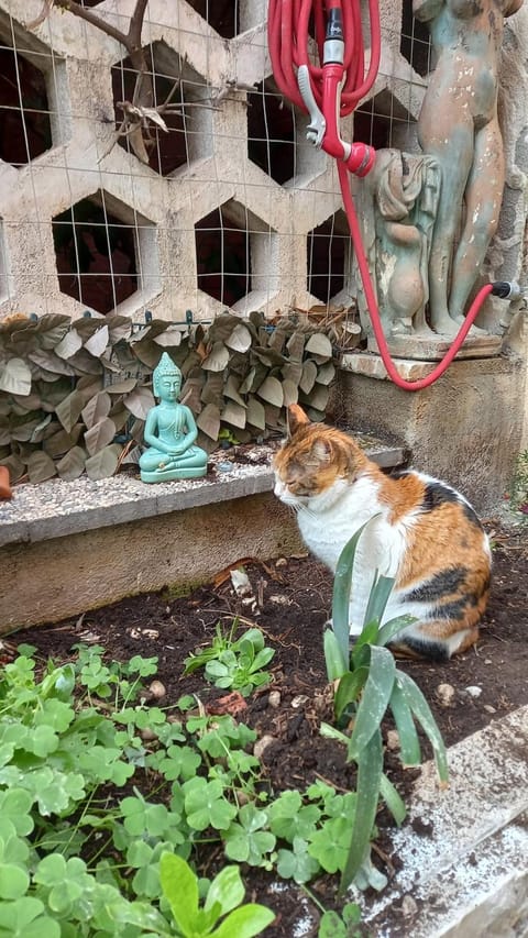 Seafront little House House in Ostia