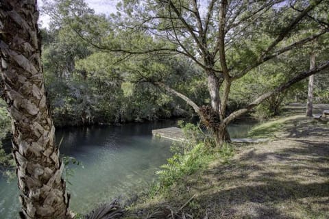 Natural landscape, River view