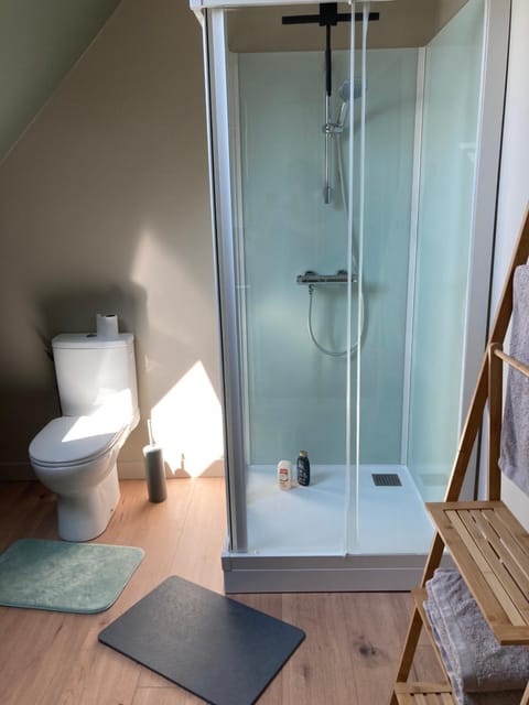 Shower, Toilet, Bathroom, towels