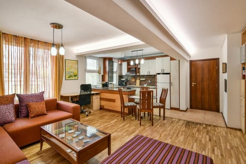 TV and multimedia, Kitchen or kitchenette, Living room, Dining area, oven