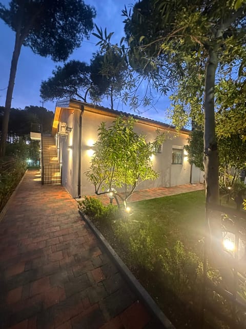 Property building, Night, Garden view