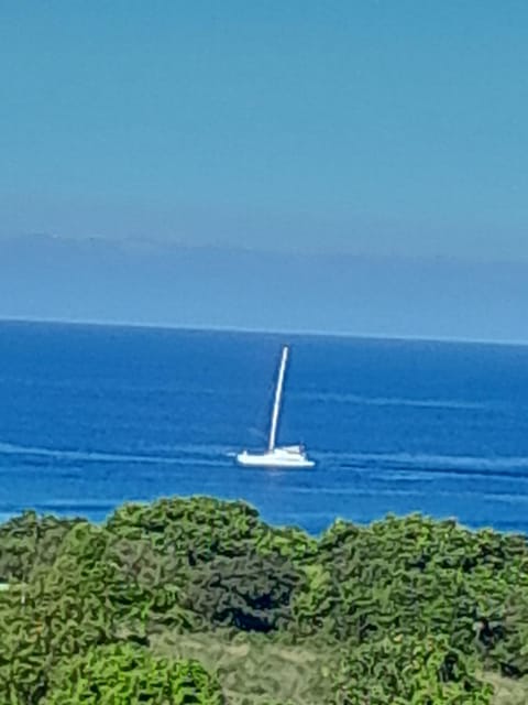 Sea view