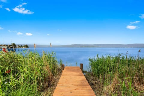 Lake view