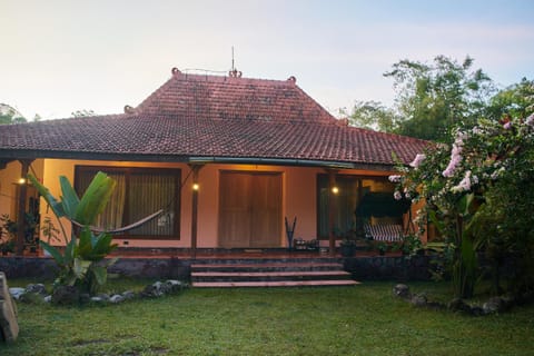 Day, Garden, Garden, Garden view