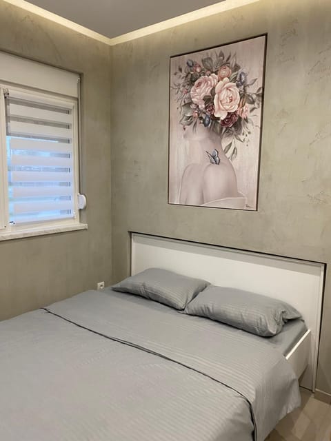 Studio Victoria Apartment in Novi Sad