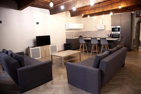 Appartement hyper centre-ville historique 80 m2 Apartment in Chambery