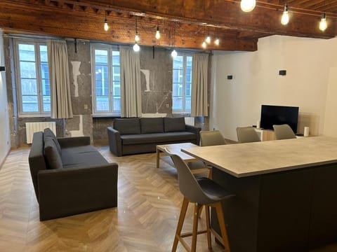 Appartement hyper centre-ville historique 80 m2 Apartment in Chambery