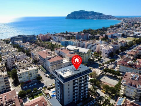 Bird's eye view, Location