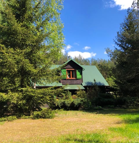 Property building, Garden view