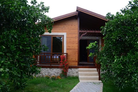 Facade/entrance, Day